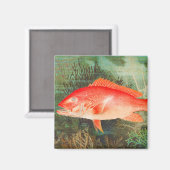 Roter Schnappfisch Vintag Magnet (Vorderseite/Rückseite)