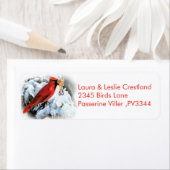 Roter Schnee (Insitu)