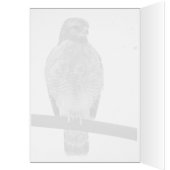 Roter Schulter Hawk (Innen (Links))