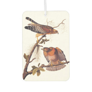 Roter Schulter Hawk Audubon Bird of Prey Autolufterfrischer