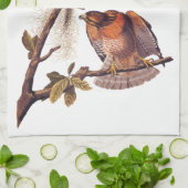 Roter Schulter Hawk Audubon Bird of Prey Geschirrtuch (Gefaltet)