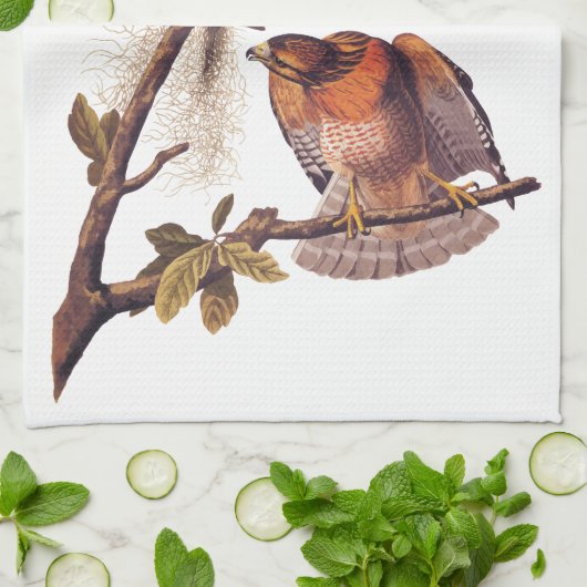 Roter Schulter Hawk Audubon Bird of Prey Geschirrtuch (Gefaltet)