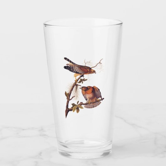 Roter Schulter Hawk Audubon Bird of Prey Glas (Vorderseite)