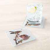 Roter Schulter Hawk Audubon Bird of Prey Glasuntersetzer (Schrägansicht)