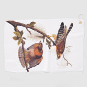 Roter Schulter Hawk Audubon Bird of Prey Golfhandtuch (Horizontal)