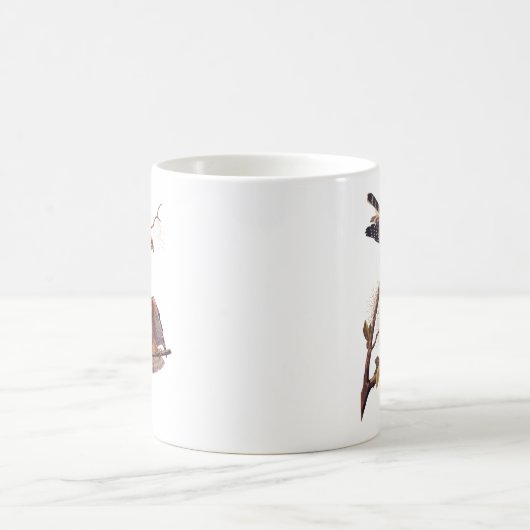 Roter Schulter Hawk Audubon Bird of Prey Kaffeetasse (Mittel)
