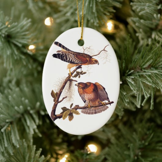 Roter Schulter Hawk Audubon Bird of Prey Keramik Ornament (Baum)