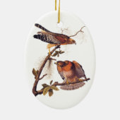 Roter Schulter Hawk Audubon Bird of Prey Keramik Ornament (Hinten)