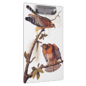 Roter Schulter Hawk Audubon Bird of Prey Klemmbrett (Rechts)