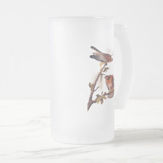 Roter Schulter Hawk Audubon Bird of Prey Mattglas Bierglas (VorderseiteRechts)