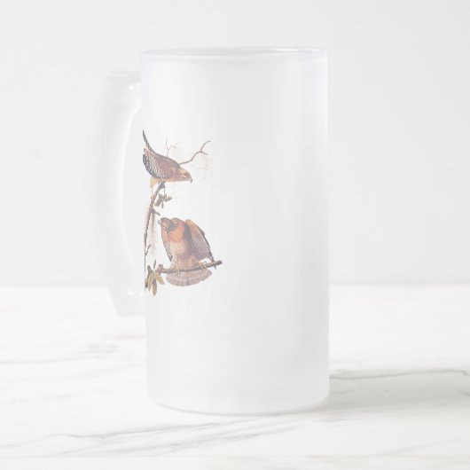 Roter Schulter Hawk Audubon Bird of Prey Mattglas Bierglas (Vorderseite Links)