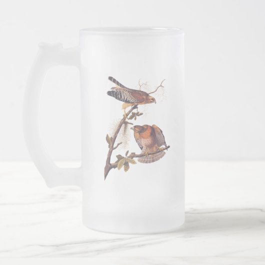 Roter Schulter Hawk Audubon Bird of Prey Mattglas Bierglas (Links)