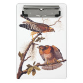 Roter Schulter Hawk Audubon Bird of Prey Mini Klemmbrett (Vorderseite)