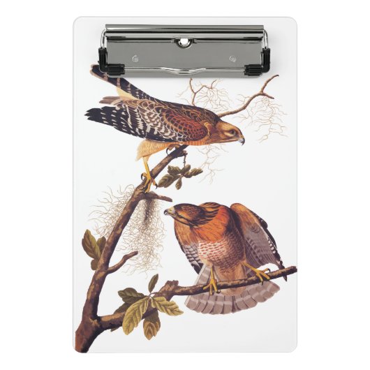 Roter Schulter Hawk Audubon Bird of Prey Mini Klemmbrett (Vorderseite)