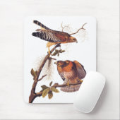 Roter Schulter Hawk Audubon Bird of Prey Mousepad (Mit Mouse)