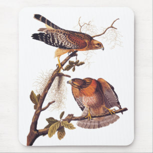 Roter Schulter Hawk Audubon Bird of Prey Mousepad
