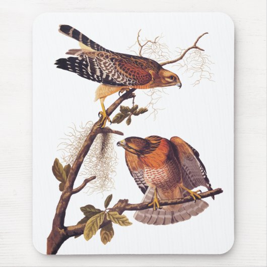 Roter Schulter Hawk Audubon Bird of Prey Mousepad (Vorne)