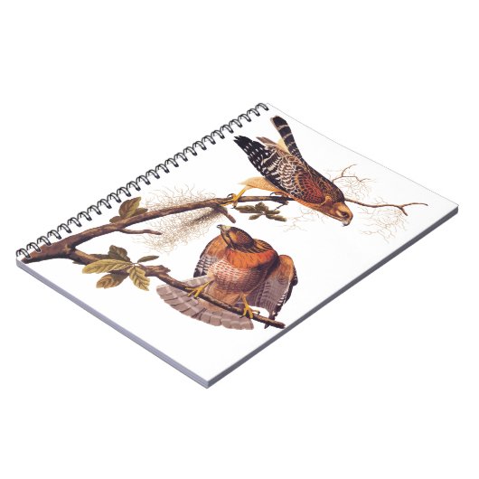 Roter Schulter Hawk Audubon Bird of Prey Notizblock (Linke Seite)