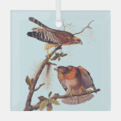 Roter Schulter Hawk Audubon Bird of Prey Ornament Aus Glas (Vorderseite)
