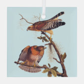 Roter Schulter Hawk Audubon Bird of Prey Ornament Aus Glas (Rückseite)