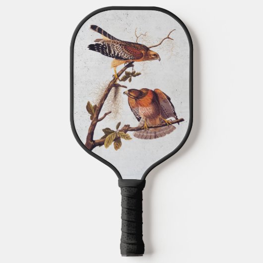 Roter Schulter Hawk Audubon Bird of Prey Pickleball Schläger (Vorderseite)