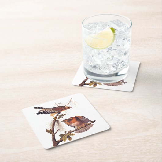 Roter Schulter Hawk Audubon Bird of Prey Rechteckiger Pappuntersetzer (Vor Ort)