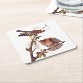 Roter Schulter Hawk Audubon Bird of Prey Rechteckiger Pappuntersetzer (angewinkelt)