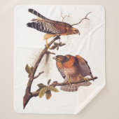 Roter Schulter Hawk Audubon Bird of Prey Sherpadecke (Vorderseite)