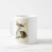 Roter Schulter Hawk - Audubons Vögel in Amerika Kaffeetasse (Vorderseite Links)