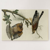 Roter Schulter Hawk - Audubons Vögel in Amerika Puzzle (Horizontal)