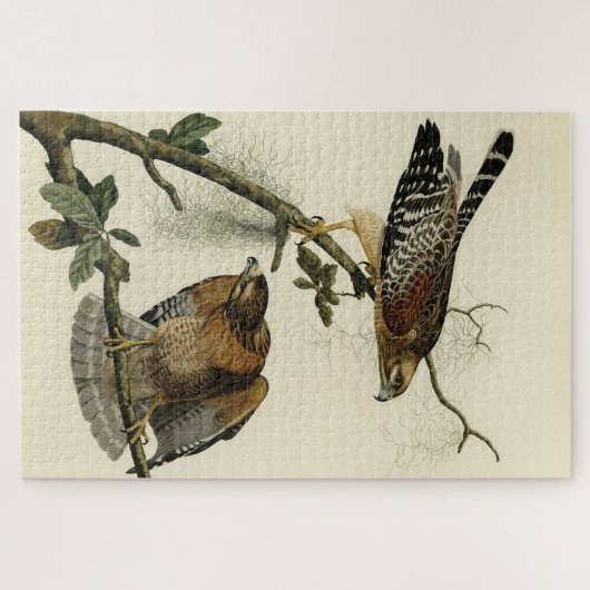 Roter Schulter Hawk - Audubons Vögel in Amerika Puzzle (Horizontal)