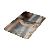 Roter Schulter-Hawk auf einem Felsen Badematte (Schrägansicht)