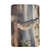 Roter Schulter-Hawk auf einem Felsen Badematte (Vorderseite Vertikal)