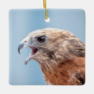 Roter Schulter-Hawk auf einem Felsen Keramikornament