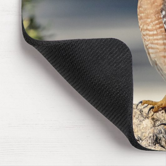 Roter Schulter-Hawk auf einem Felsen Mousepad (Ecke)