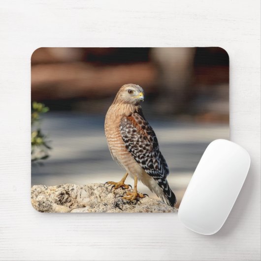 Roter Schulter-Hawk auf einem Felsen Mousepad (Mit Mouse)
