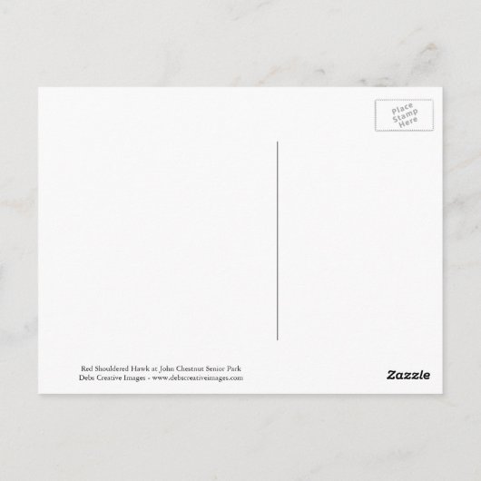 Roter Schulter-Hawk auf einem Felsen Postkarte (Rückseite)