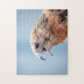 Roter Schulter-Hawk auf einem Felsen Puzzle (Vertikal)