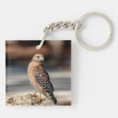 Roter Schulter-Hawk auf einem Felsen Schlüsselanhänger (Rückseite)