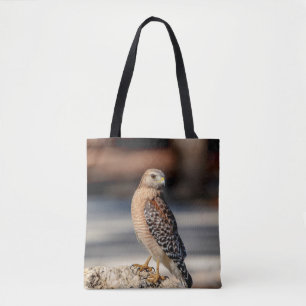 Roter Schulter-Hawk auf einem Felsen Tasche