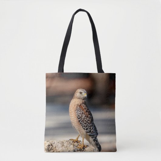 Roter Schulter-Hawk auf einem Felsen Tasche (Vorderseite)