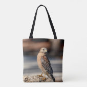 Roter Schulter-Hawk auf einem Felsen Tasche (Rückseite)