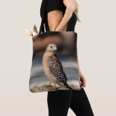 Roter Schulter-Hawk auf einem Felsen Tasche (Von Nahem)