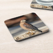 Roter Schulter-Hawk auf einem Felsen Untersetzer (Linke Seite)