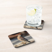 Roter Schulter-Hawk auf einem Felsen Untersetzer (Rechte Seite)