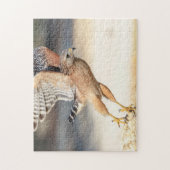 Roter Schulter Hawk in Florida Puzzle (Vertikal)
