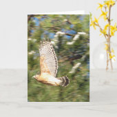 Roter Schulter Hawk in Flugfotografie-Design Karte (Gelbe Blume)