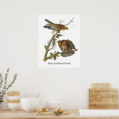 Roter Schulter Hawk, John Audubon Poster (Küche)