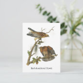 Roter Schulter Hawk, John Audubon Postkarte (Stehend Vorderseite)