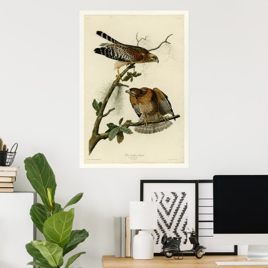 Roter Schulterfalke Poster (Heimbüro)